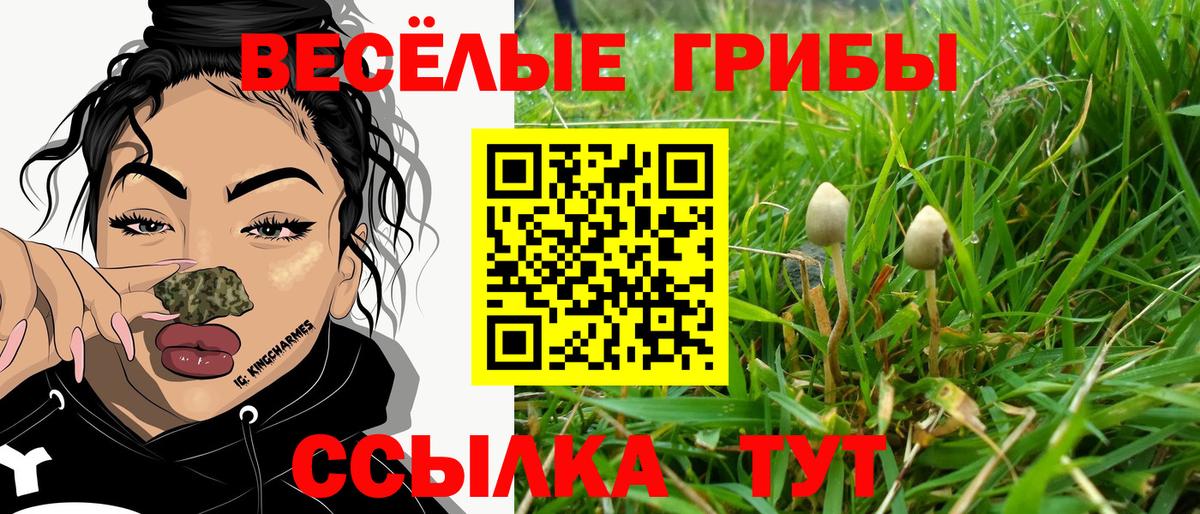 Абакан  где купить наркоту  Галлюциногенные грибы Psilocybe  Вход с VPN  Псилоцибиновые грибы MAGIC MUSHROOMS 