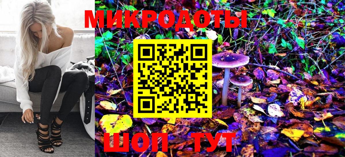 Псилоцибиновые грибы Psilocybine cubensis Абакан